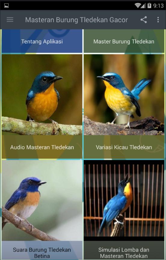 Masteran Burung Tledekan Gacor For Android Apk Download