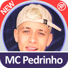 MC Pedrinho icône