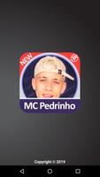 MC Pedrinho Cartaz