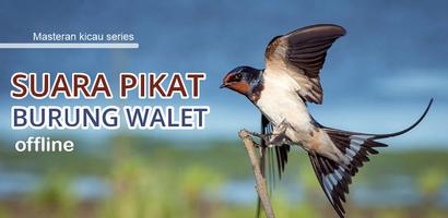 Suara Pikat Walet Panggil Inap Affiche