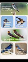 Suara Pikat Walet Panggil Inap ภาพหน้าจอ 1