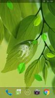 Water Ripple Live Wallpaper ảnh chụp màn hình 2
