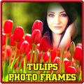 Tulips Photo Frames