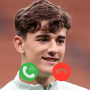 Gavi Fake Video Call and Chat APK