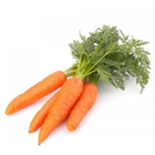 Carrot Cultivation and Farm icône