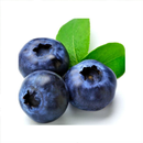 Blueberry Cultivation and Farm APK