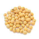 Soybean Cultivation and Farm-icoon