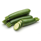 Zucchini Cultivation and Farm أيقونة