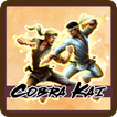 ”Cobra Kai GAME