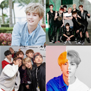 How well do you know BTS? APK