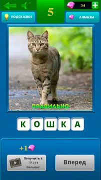 Screenshot 20 for Лучшие загадки - Угадай слова