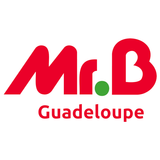 Mr. Bricolage Guadeloupe ikona