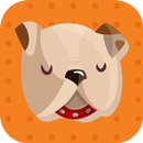 اصول نگهداری از حیوانات خانگی - سگ ، گربه ، پرنده APK