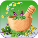 داروخانه همراه - طب سنتی و دار APK