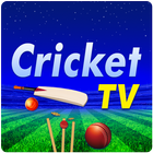 Live Cricket HD TV Streaming icône