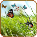 Arkanoid: Butterfly catcher