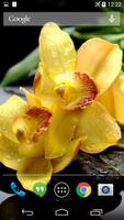 Yellow Orchids Live Wallpaper poster