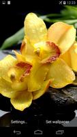 Yellow Orchids Live Wallpaper 截图 2