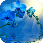 Blue Orchid Live Wallpaper simgesi