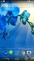 Blue Orchid Live Wallpaper capture d'écran 1