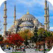 Blue Mosque Live Wallpaper