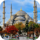 Blue Mosque Live Wallpaper icône