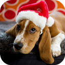 Christmas Dog Live Wallpaper APK