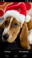 برنامه‌نما Christmas Dog Live Wallpaper عکس از صفحه