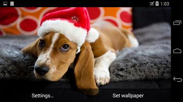 Christmas Dog Live Wallpaper Ekran Görüntüsü 2