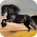 Mustang Live Wallpaper (FREE)