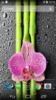 Orchid And Bamboo Wallpaper 截图 1