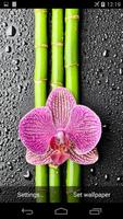 Orchid And Bamboo Wallpaper 截图 2