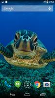 Sea Turtle Live Wallpaper FREE 海报