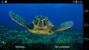 Sea Turtle Live Wallpaper FREE 截图 2