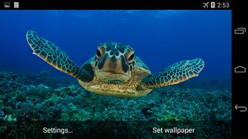 Sea Turtle Live Wallpaper FREE Ekran Görüntüsü 2