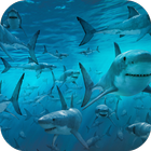 Sharks Live Wallpaper (FREE) आइकन