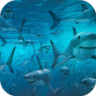 Sharks Live Wallpaper (FREE) simgesi