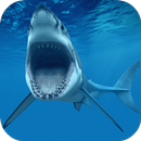 Shark Underwater Wallpaper APK