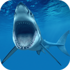 Shark Underwater Wallpaper icône
