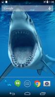 Shark Underwater Wallpaper poster