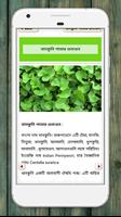 ঔষধি গাছের গুনাগুন-Herbal medicinal plants poster