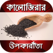 কালোজিরার উপকারিতা~রোগের ঔষধ~Kalijira benefits