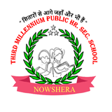 Third Millennium Public School icon