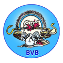 Bharti Vidhya Bhawan Banswara APK