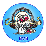 ”Bharti Vidhya Bhawan Banswara