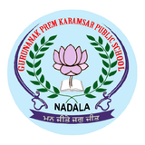 Guru Nanak Public School simgesi