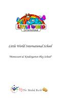 Little World International Sch Plakat