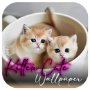 Kitten Cat Cute Wallpaper APK