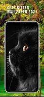 Kitten Cat Cute Wallpaper скриншот 3
