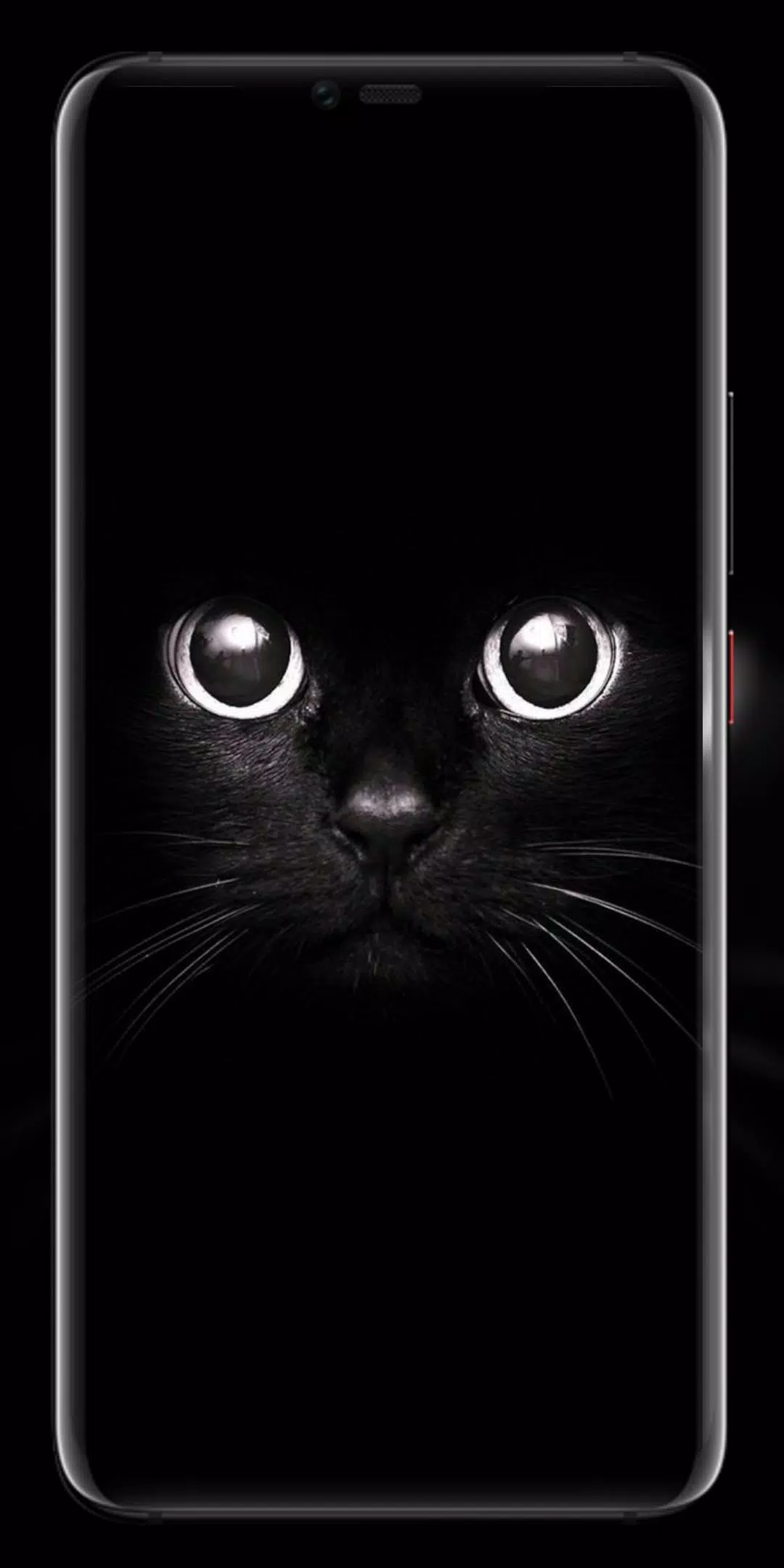 Black Wallpapers - Wallpaper Hd And 3D Wallpaper Apk For Android Download